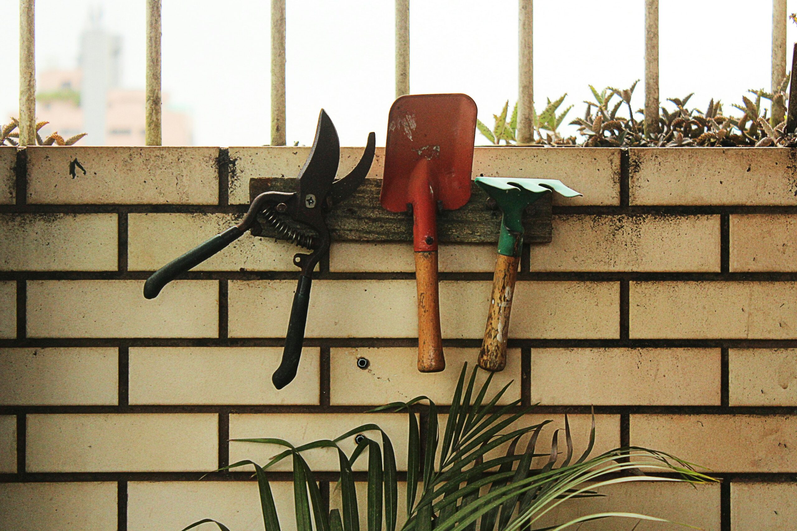 gardening tools handing in a rack on a wall