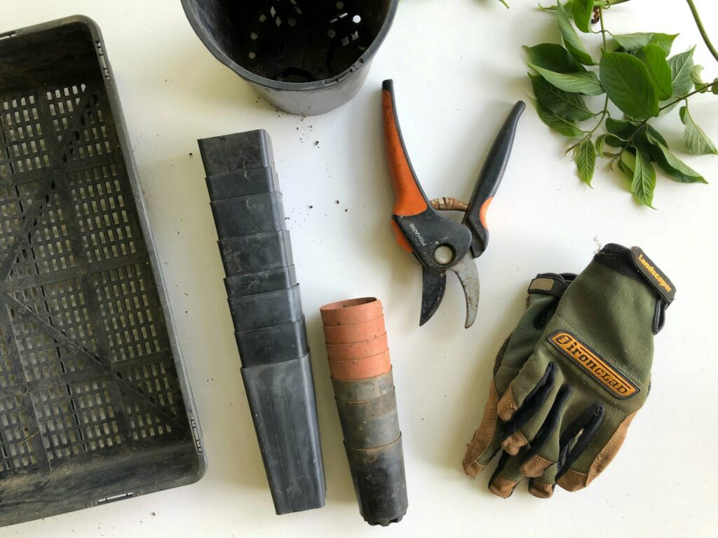 gardening tools; pruning shears beside gloves